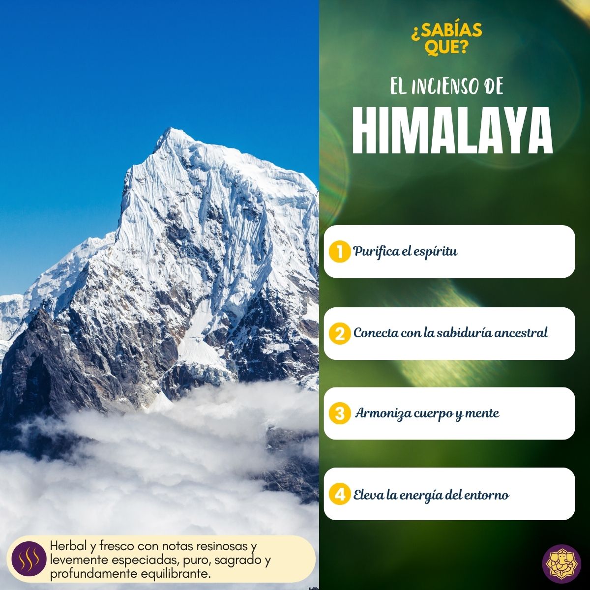 Incienso Natural Golden Nag Himalaya - Vijayshree