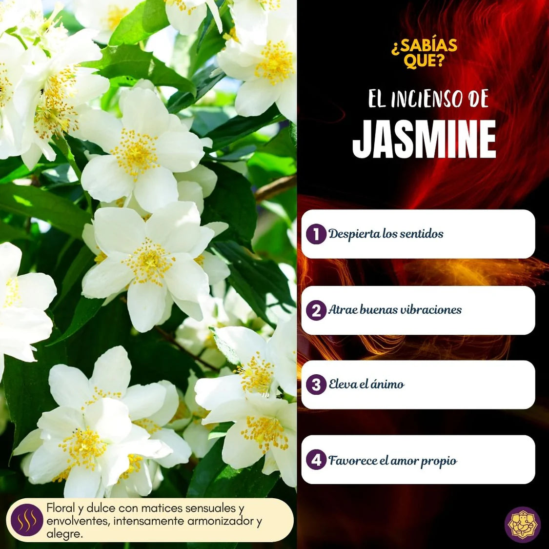 Mini Incienso Mariposa - Jasmin