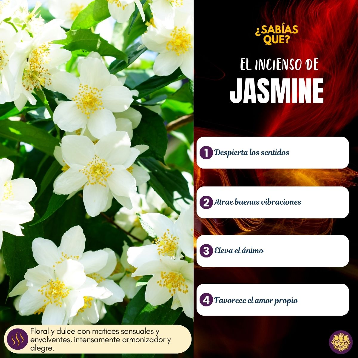 Incienso Cascada Golden Indian Jazmín 10 Conos - Sree Vani