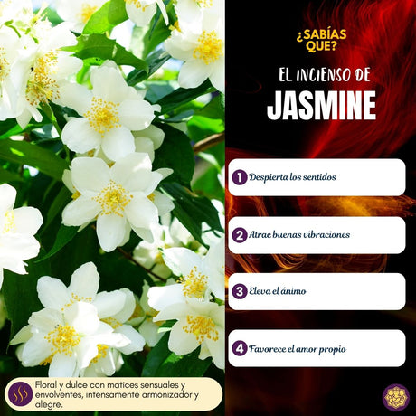 Incienso Cascada Golden Indian Jazmín 10 Conos - Sree Vani