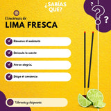 Incienso Natural Lima Fresca - Alaukik