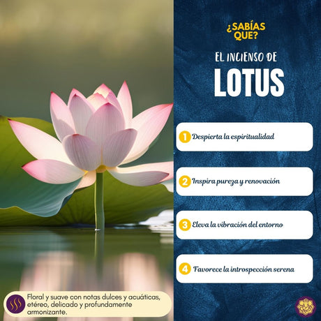 Incienso Natural Premium Lotus - Goloka