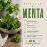 Vela Menta con Piedra Solar (Vibras Positivas)
