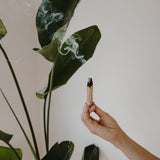 Madera Palo Santo 1/2  Kilo