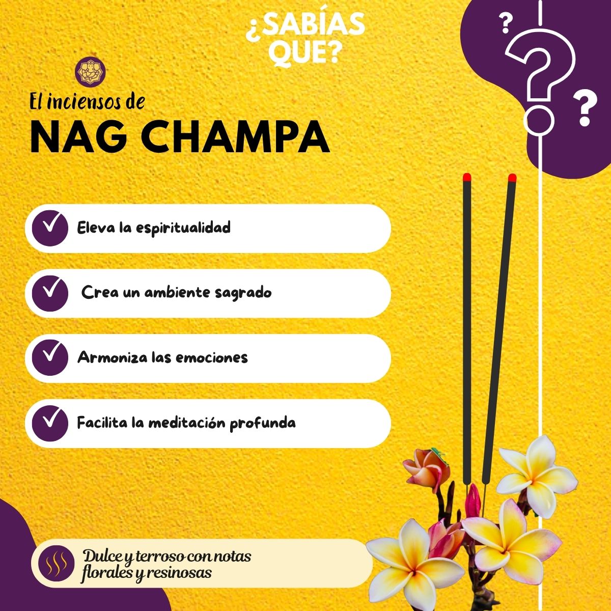 Incienso en Cono Nag Champa - Goloka