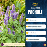 Incienso Cascada Golden Indian Patchouli 10 Conos - Sree Vani