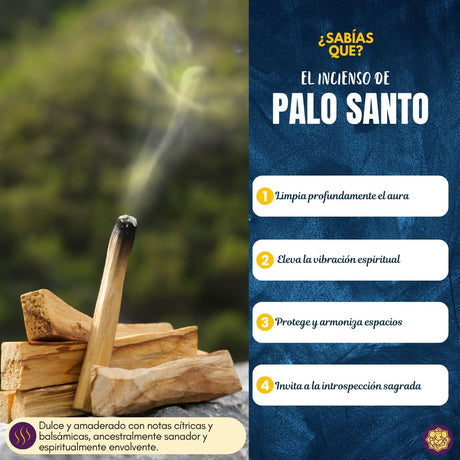 Incienso Cascada Palo Santo 10 Conos - Balaji