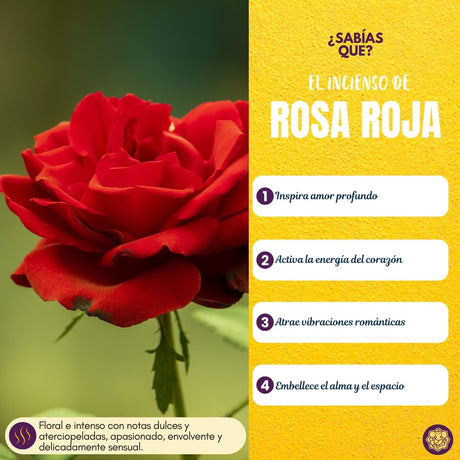 Incienso Cascada Golden Indian Rosa 10 Conos - Sree Vani