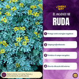 Incienso Natural Ruda - Balaji
