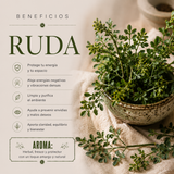 Incienso Ruda