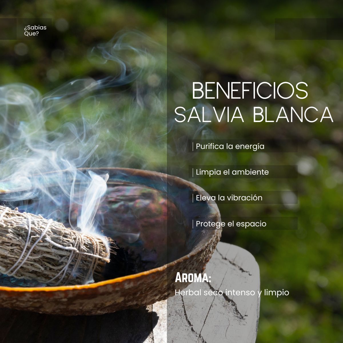 Aceite Aromático Salvia Blanca