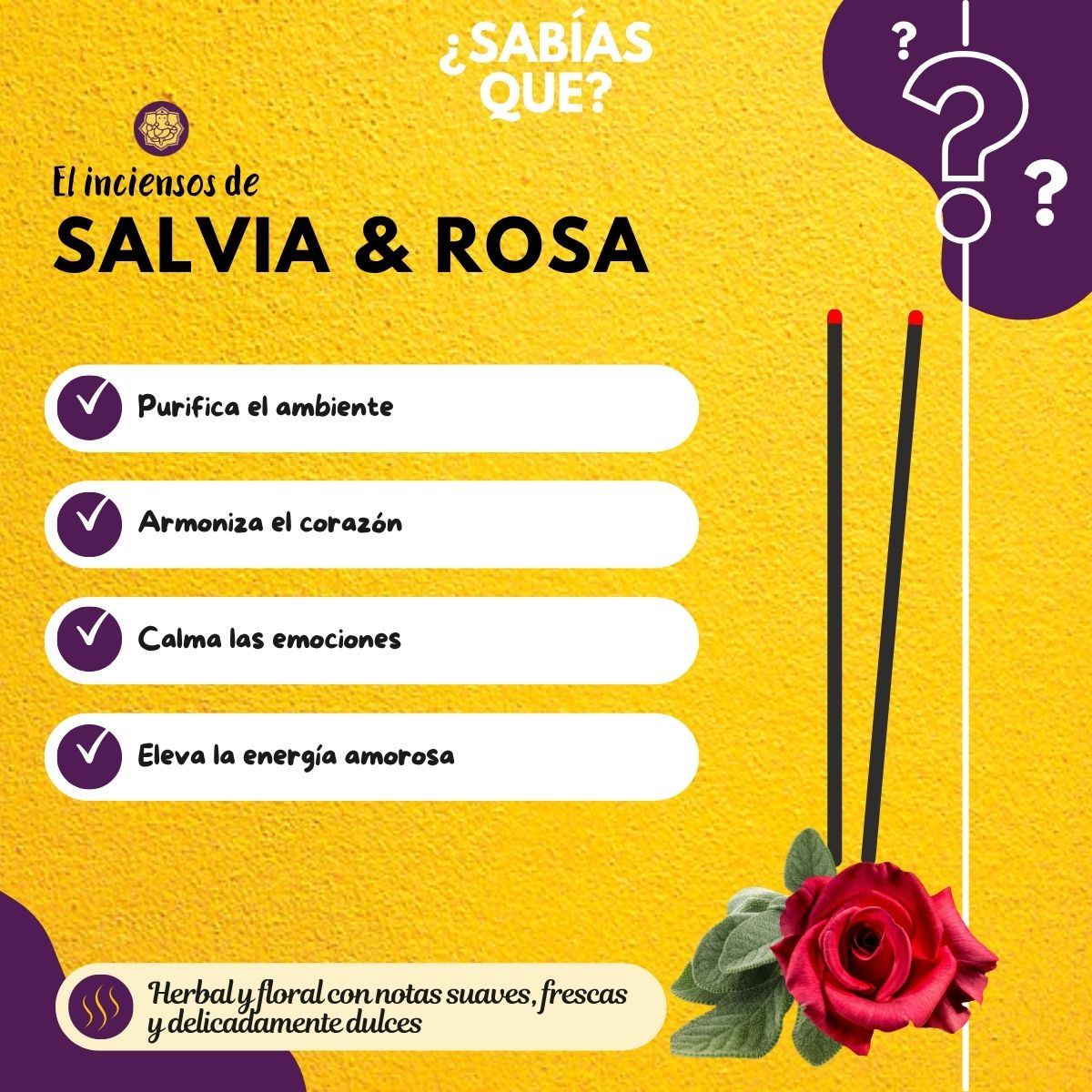 Incienso Natural Salvia Blanca + Rosa Salvaje - Mystic Spirits