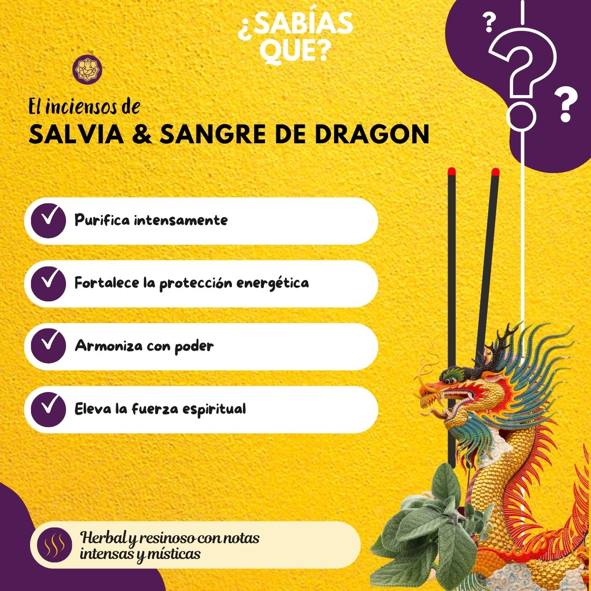Incienso Natural Salvia Blanca + Sangre de Dragon - Mystic Spirits