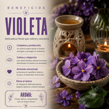 Aceite Aromático Violeta