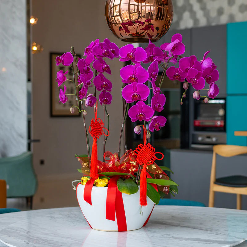 Nudo Chino de la Suerte