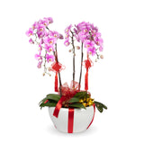 Nudo Chino de la Suerte