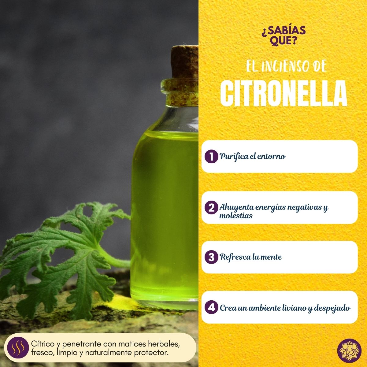 Incienso Natural Citronella Fit - Goloka