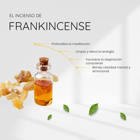 Incienso Natural Frankincense con Piedra Turmalina Negra - Song of India