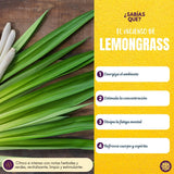 Incienso Natural Tropical Lemongrass - Satya