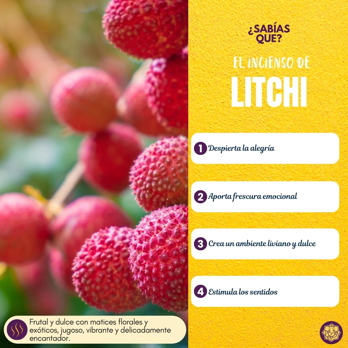 Incienso Natural Litchi - Alaukik