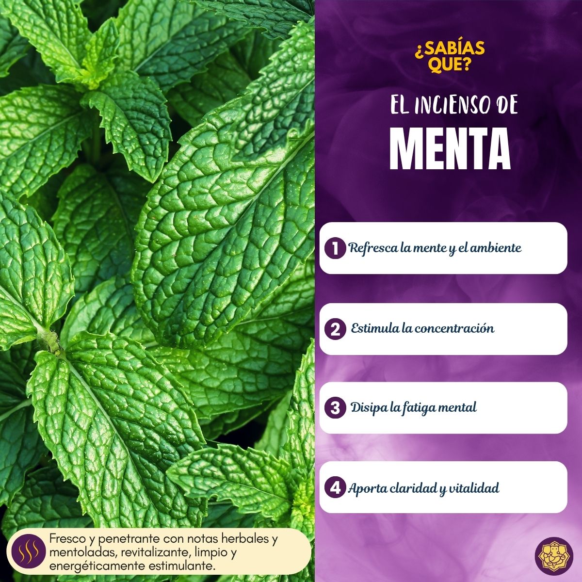 Incienso Natural Popular Menta Fresca - Goloka