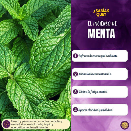 Incienso Natural Popular Menta Fresca - Goloka
