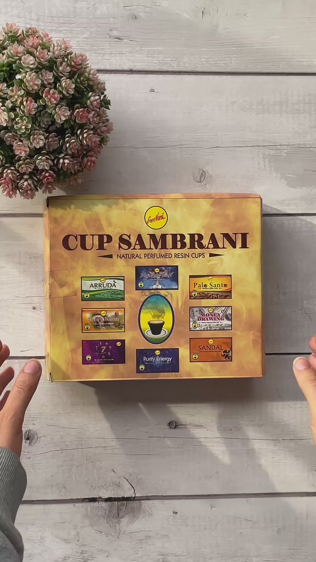 Copitas de Incienso Limpia Casa (24U) - Sambrani