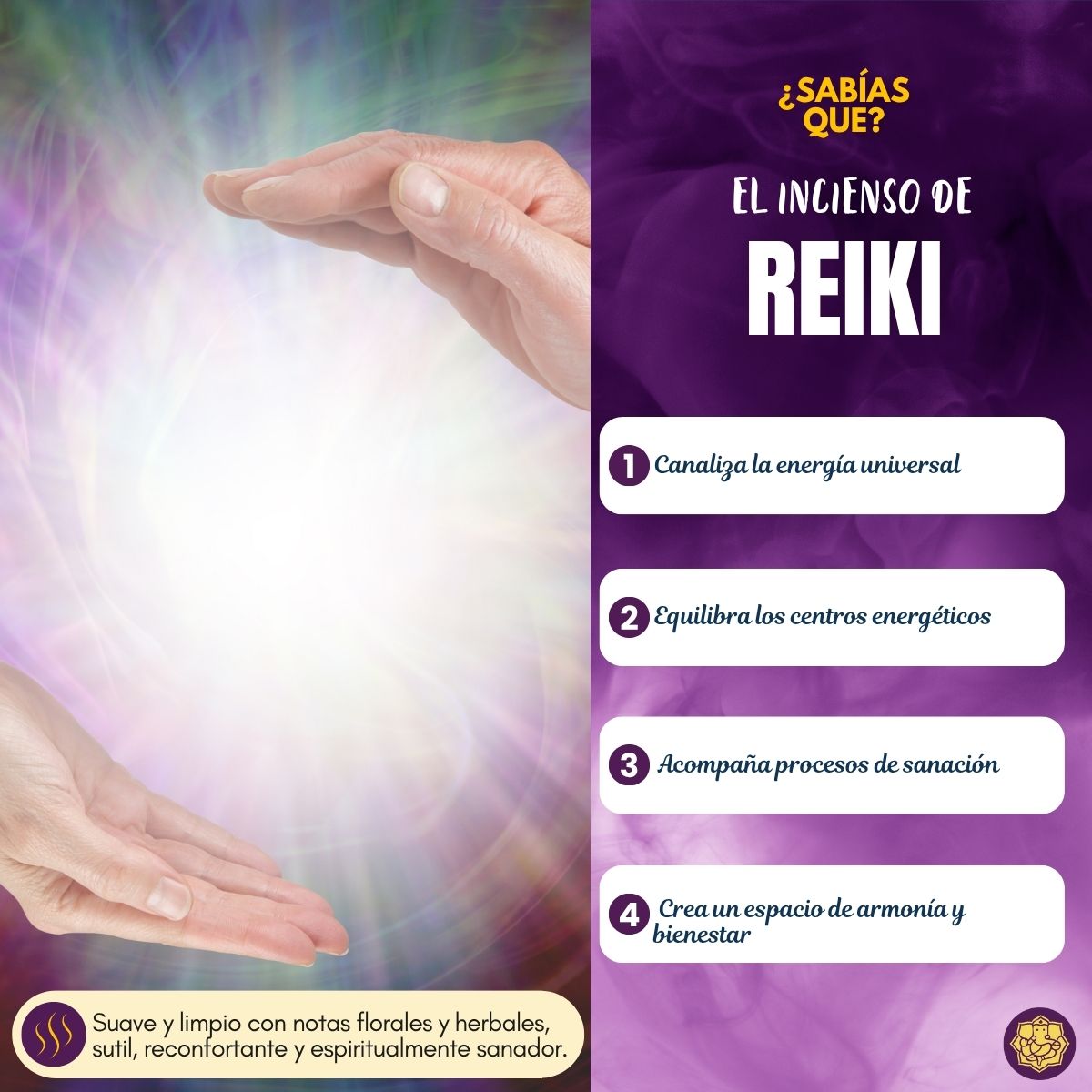 Incienso Natural Nag Reiki Energy - Vijayshree