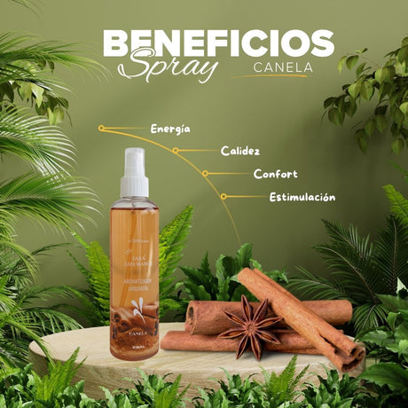 Aromatizador Ambiental Canela 250ml - Tara Assurance