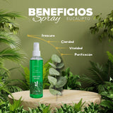 Aromatizador Ambiental Eucaliptos 250ml - Tara Assurance