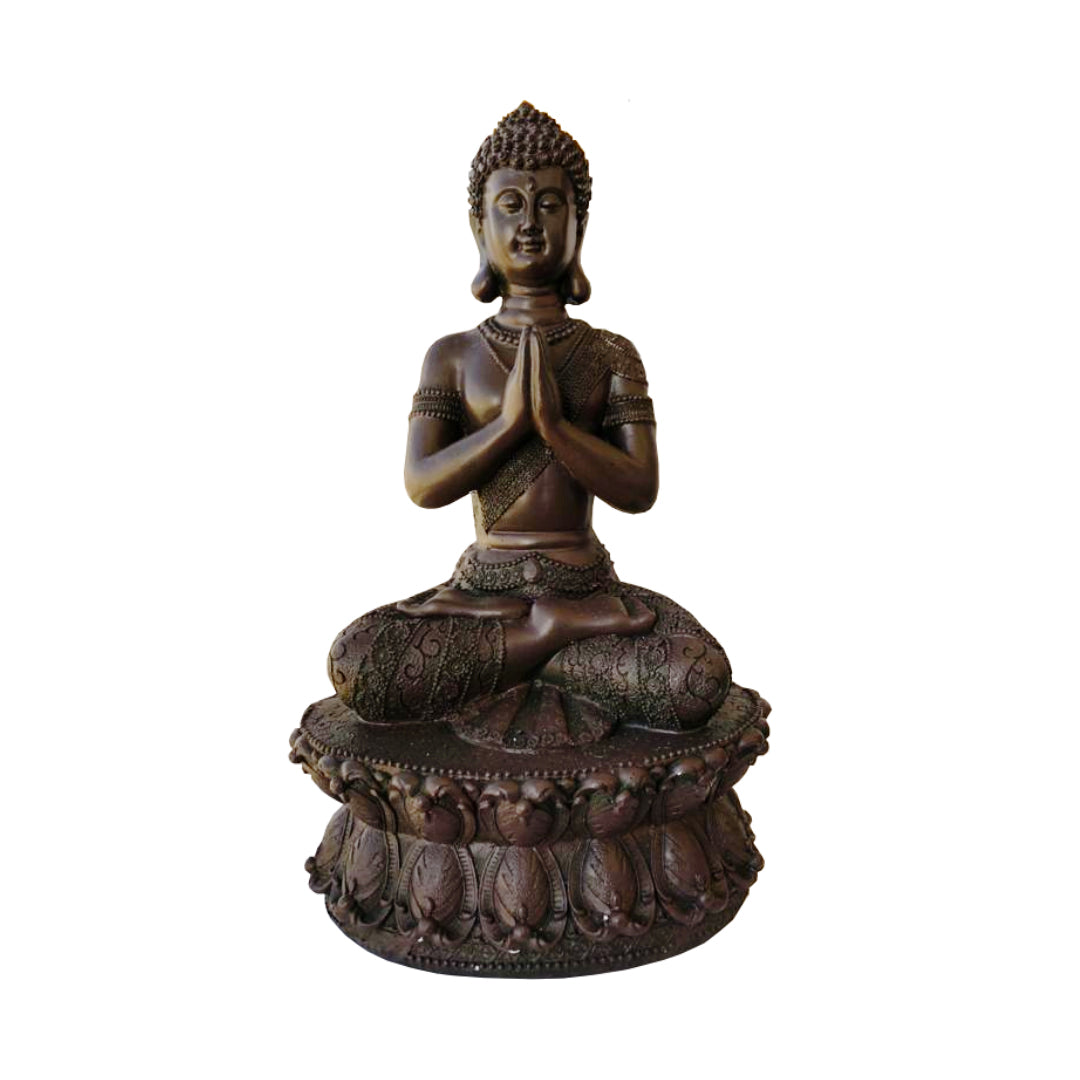 Budda Brown Grande 52 cms